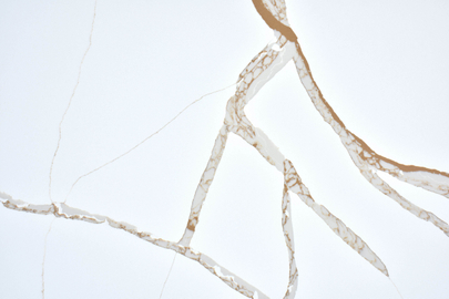 Calacatta Bellezza Gold Quartz SH86255