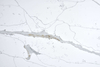 Calacatta Forest Quartz SH86172