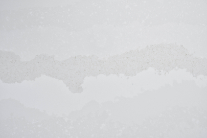 Wood Veins Quartz SH8651