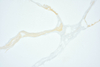 Exploring Elegance Quartz SH86360