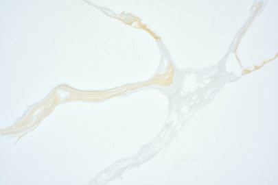 Exploring Elegance Quartz SH86360