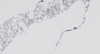 Bright Statuario Quartz Slab SH6059