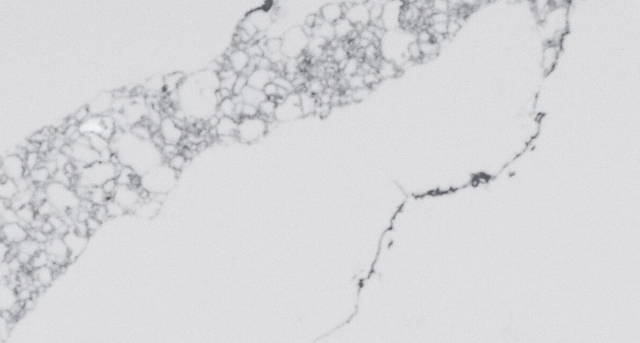 Bright Statuario Quartz Slab SH6059