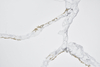 Vena Calacatta Infinita Quartz SH8653