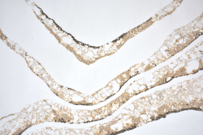 White Quartz with Brown And Grey Veins SH8682