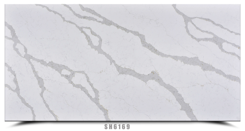 Calacatta Maximus SH6169