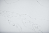 Calacatta Ida Quartz SH6171