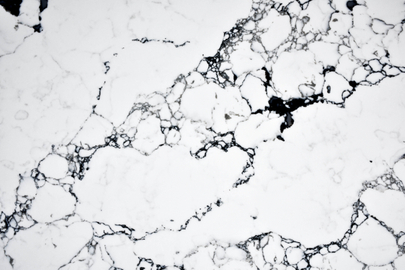 Calacatta Light Quartz SH86142