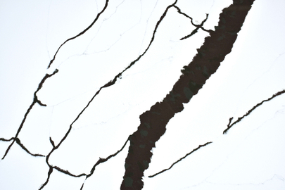 Sydney White Quartz SH6297